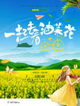 油菜花