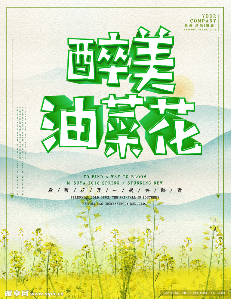 油菜花