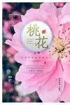 桃花节