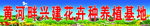 花卉
