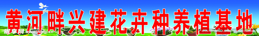 花卉