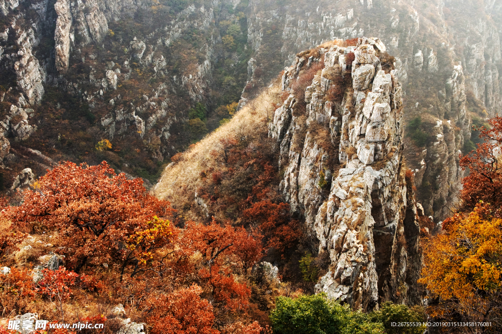 大连大黑山