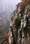 大连大黑山