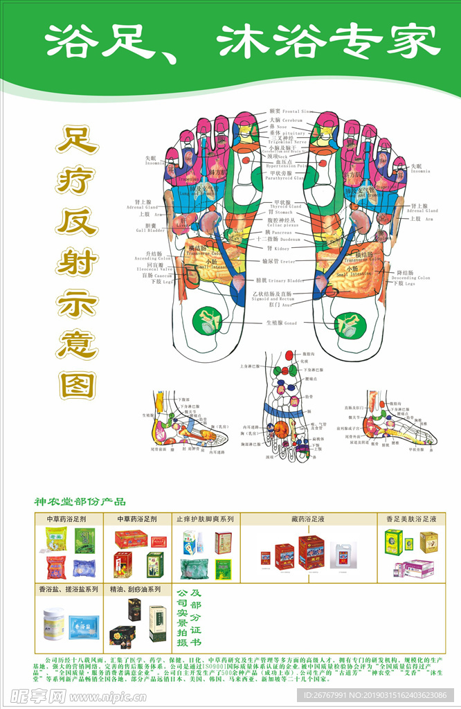 足疗反射海报 浴足示意图