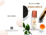 酵素 红茶 宣传 两折页 三折