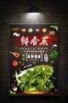 香菜