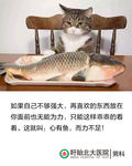 心有余