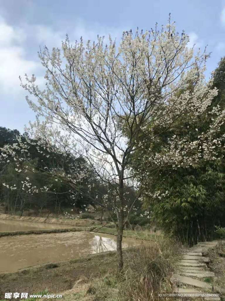 自然美景