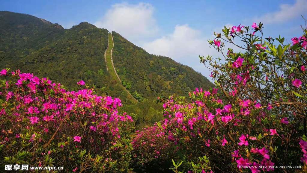 自然美景
