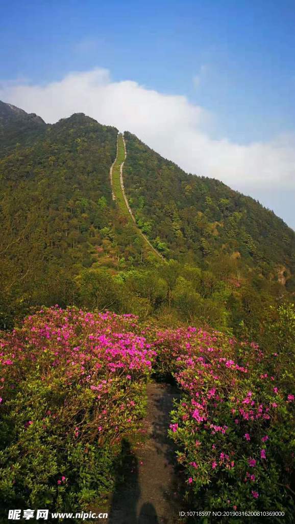 自然美景