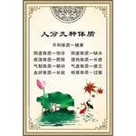 体质分类
