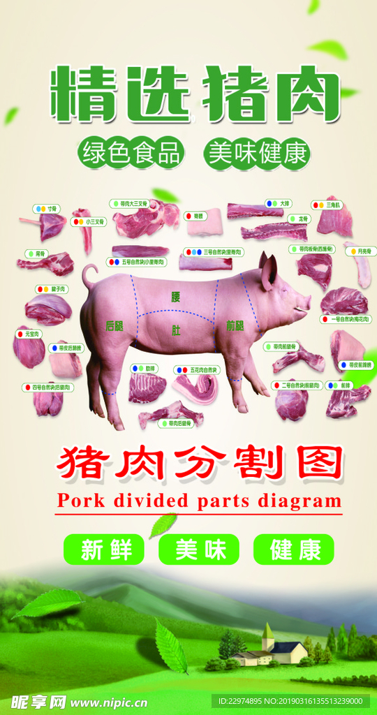 猪肉分割图海报