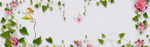 清新banner