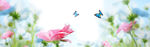清新banner