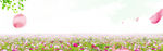 清新banner