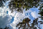 天空