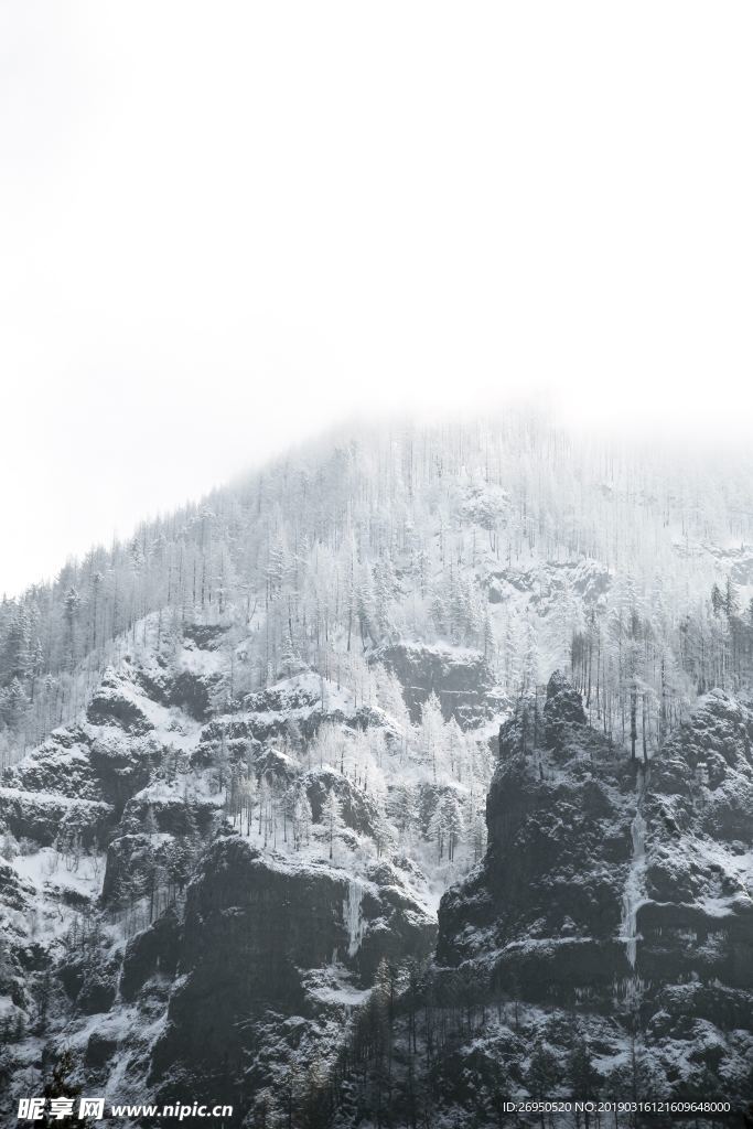 雪景