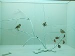 展柜