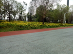 道路