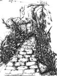 黑白画