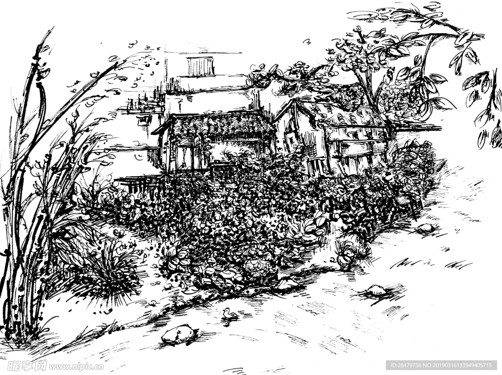 黑白画