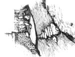 黑白画