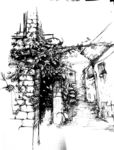 黑白画