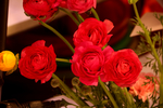 鲜花