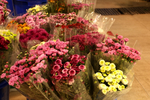 鲜花