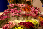 鲜花