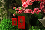 仿真花