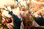 鲜花