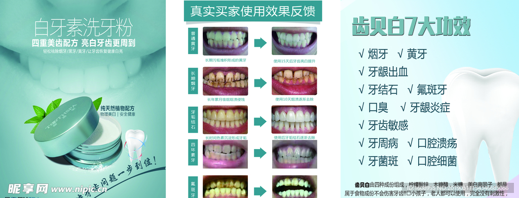 牙粉 牙齿图板