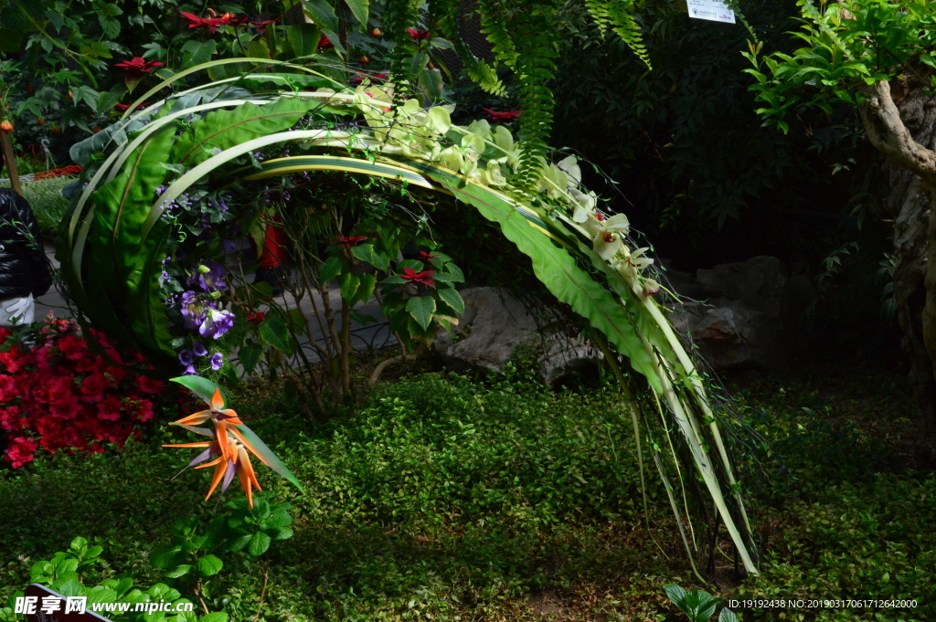 花坛