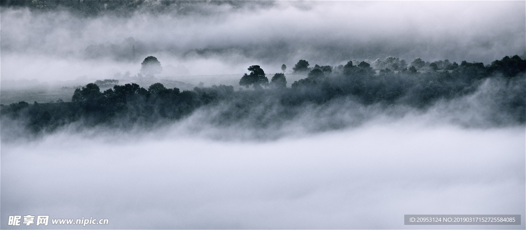 风景