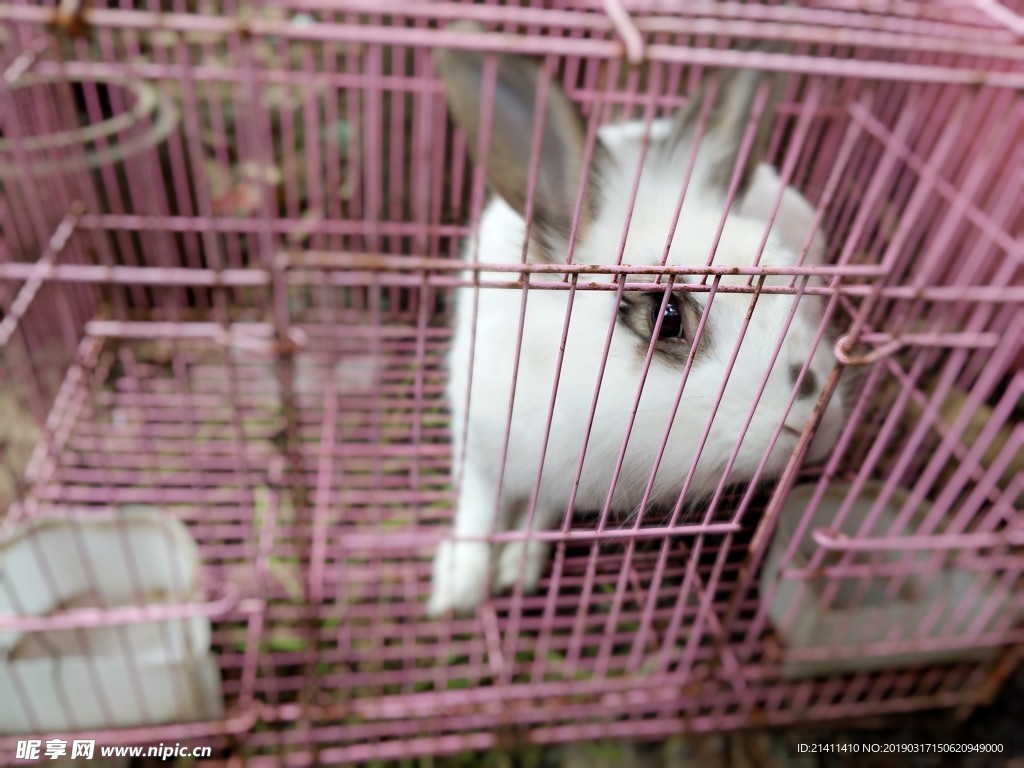 兔笼厂家-兔笼设备价格-羊漏粪板哪家好-青岛福德慧创农牧科技有限公司