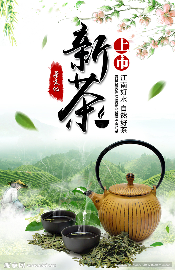 茶