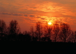 夕阳