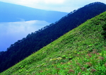 山