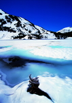冰山雪地