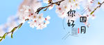 你好 四月