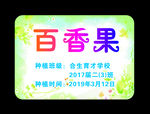 百香果牌
