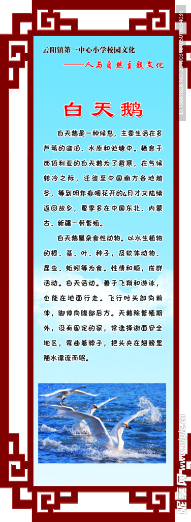 稀有动物 美丽山水 绿色植被