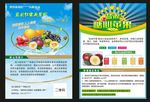 盐源苹果DM单
