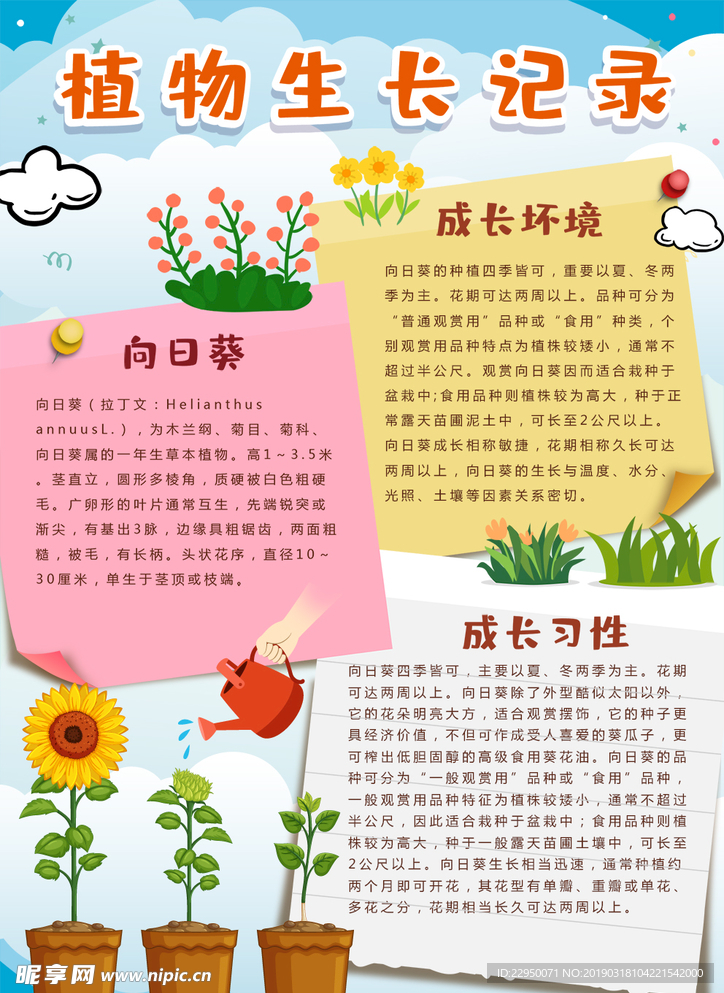 植物小报