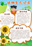 植物生长