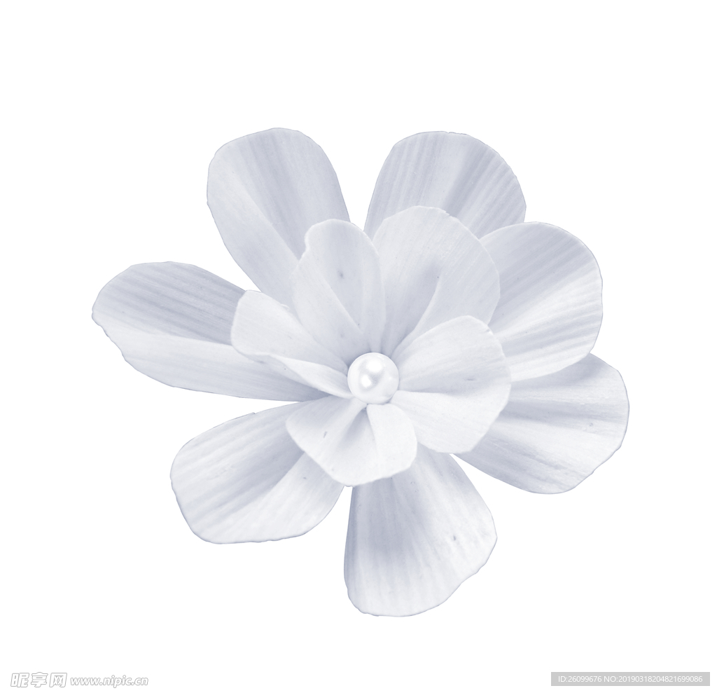 珠宝花