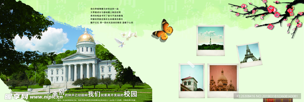 画册 绿色 渐变  校园 排版