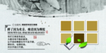 画册 文化 排版 图片 科技