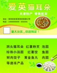爱英猫耳朵店名片